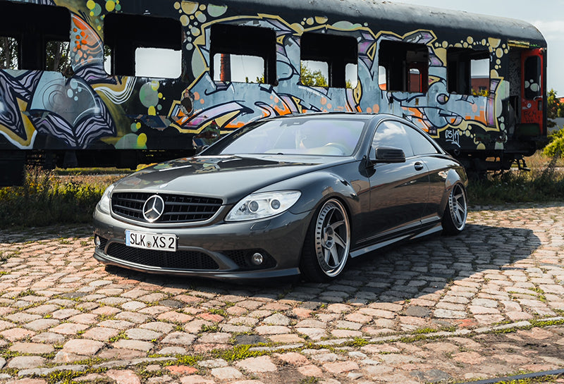 Airrex Struts & Airbags (0020250040) - M. BENZ S-CLASS